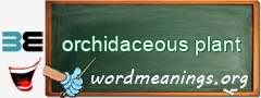 WordMeaning blackboard for orchidaceous plant